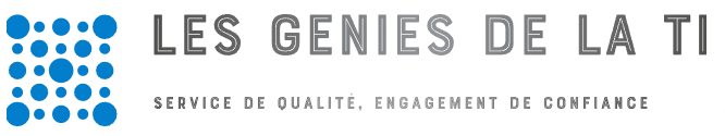 LES GÉNIES DE LA TI